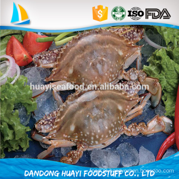 cheap swimming crab new landing frozen fresh blue swimming crab